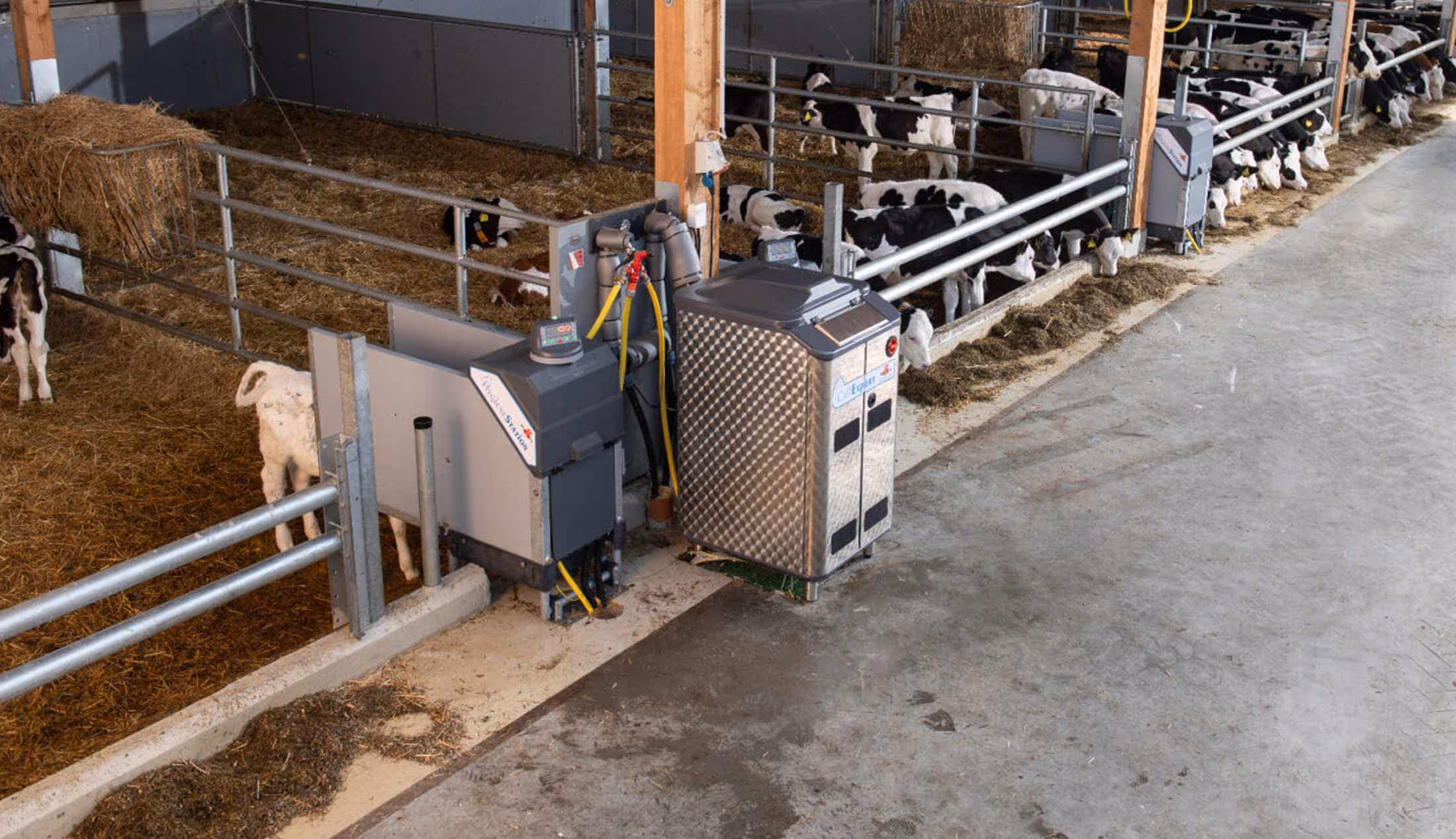 holm & laue calf feeder fullwoodhead dairy supplies
