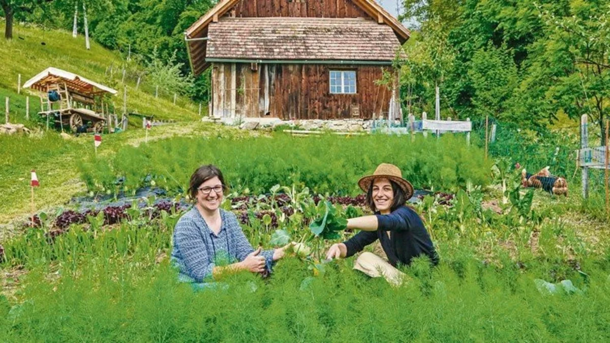 Projektbild: Selbsterntegärten für Firmen, Quartiere und Genossenschaften in Städten