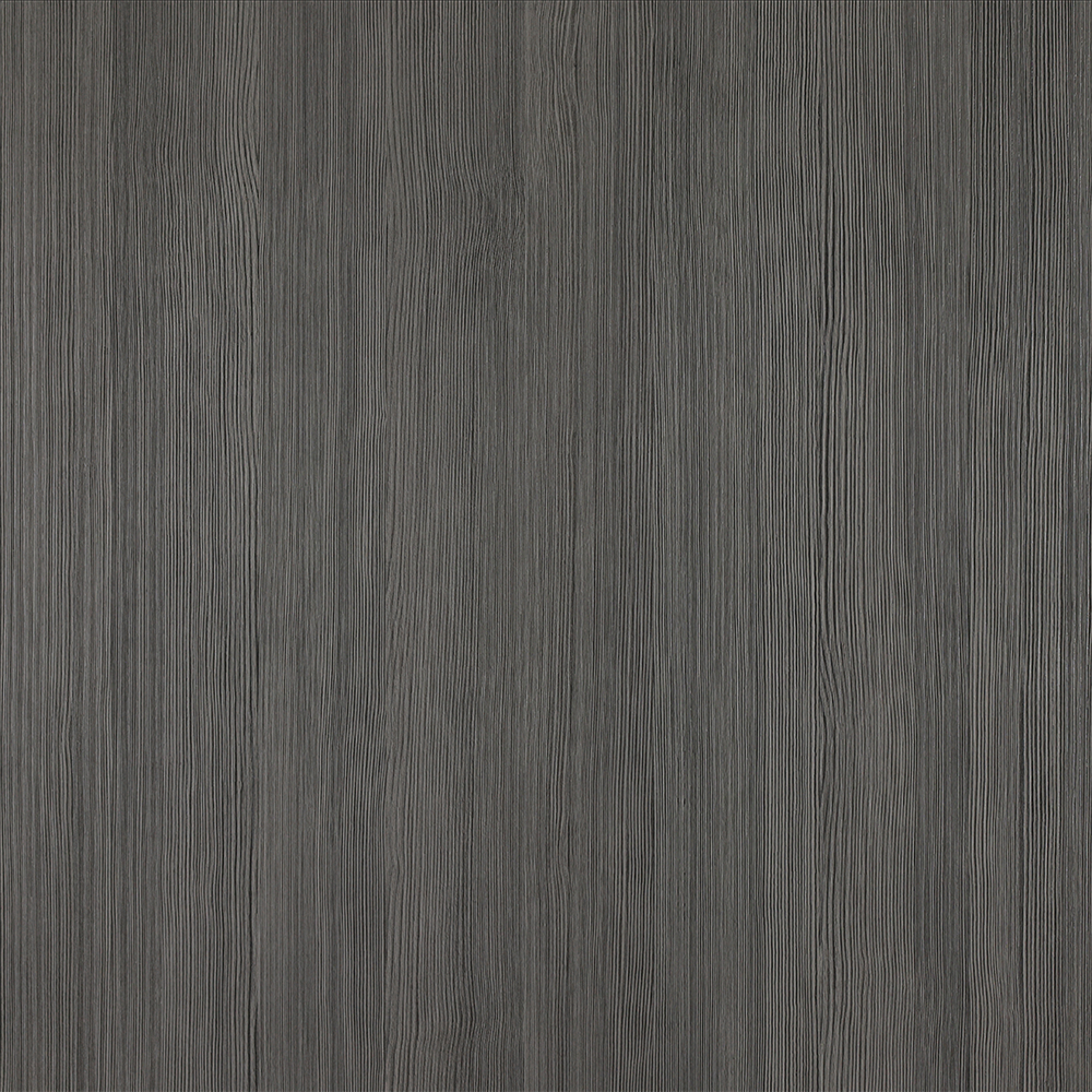 Oyster Pine - SIGNIA