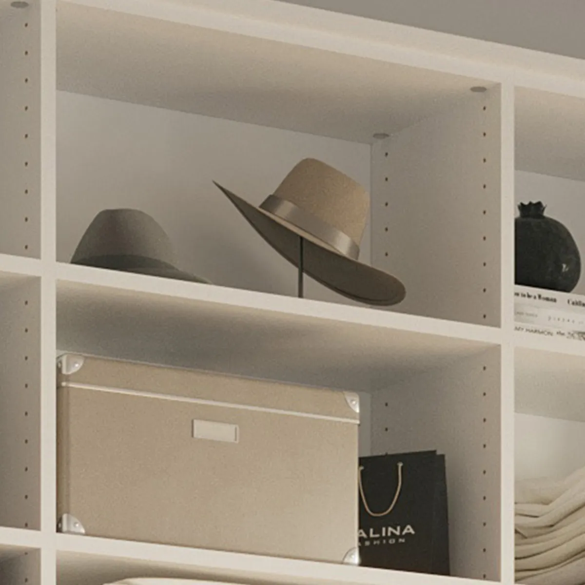 Adjustable Shelves