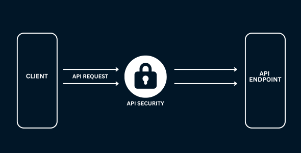 API Security