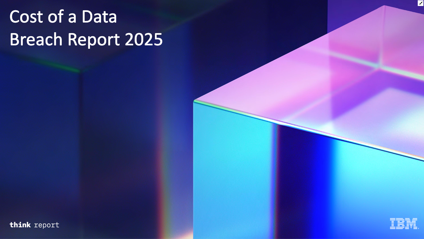 Insights from this Year's IBM Report