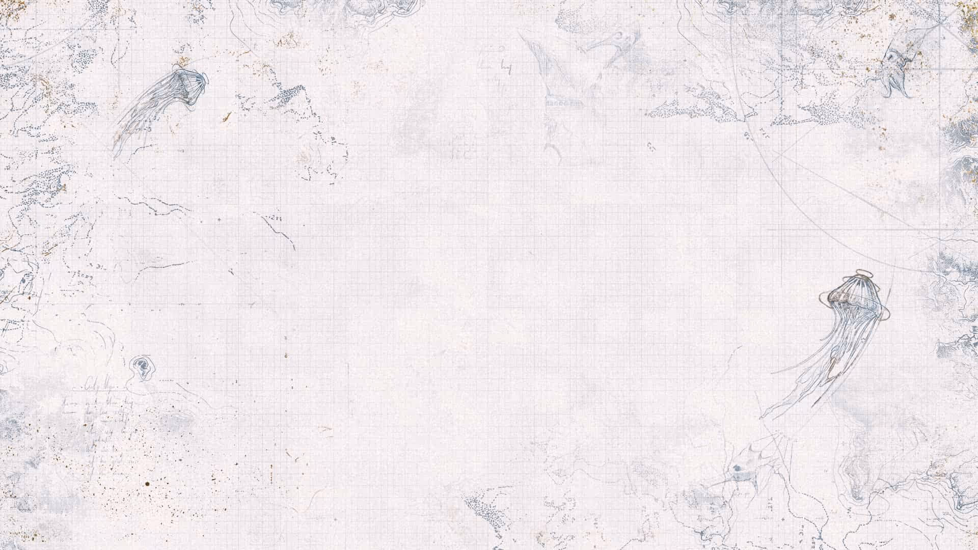 Tomorrowland presents: Dimitri Vegas & Like Mike at Ushuaïa, Ibiza - background