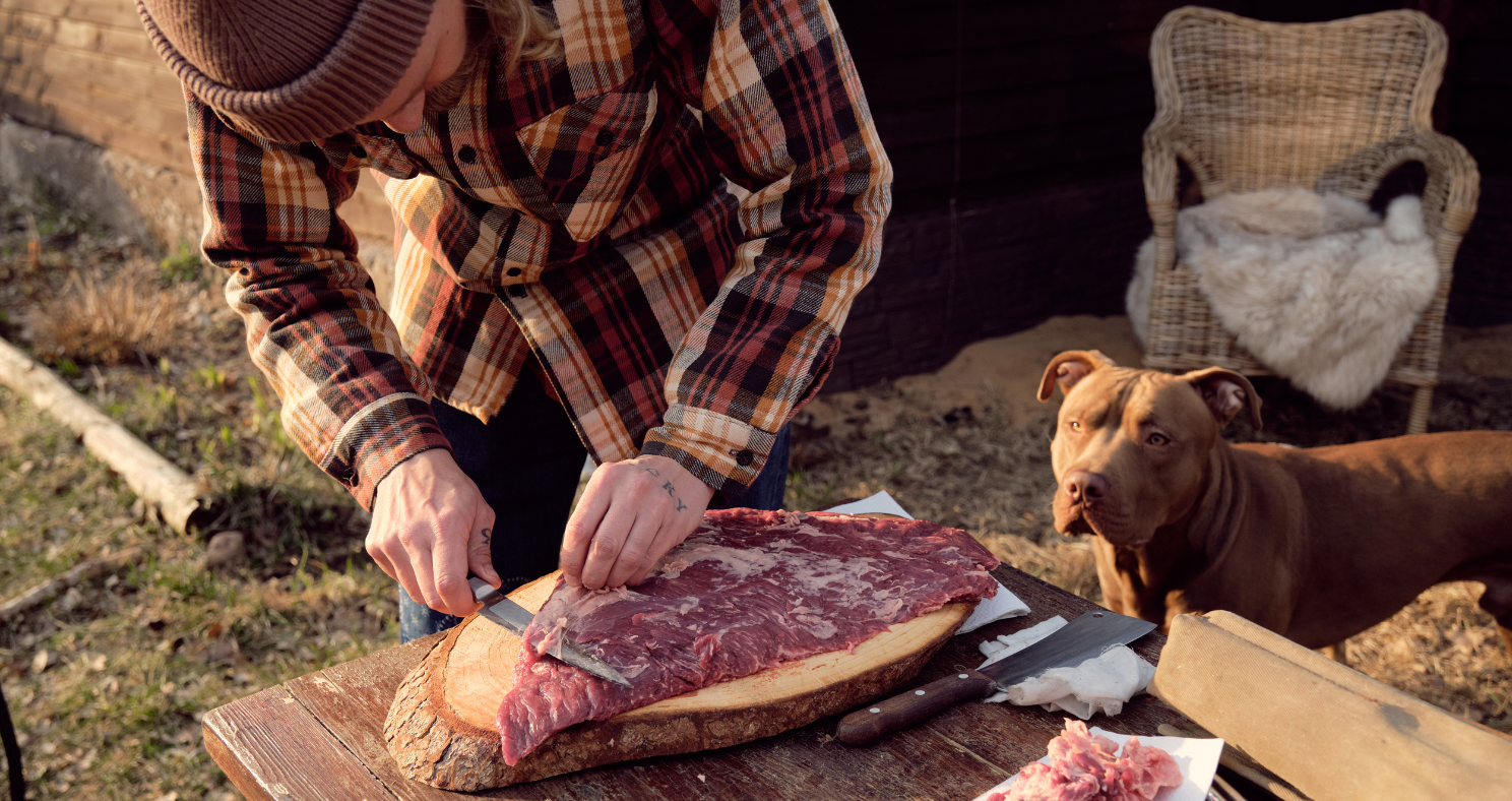 Person holding pumpkin