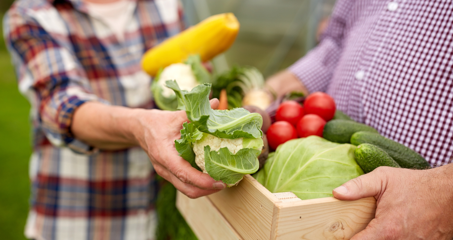 Woman with tablet on chicken field