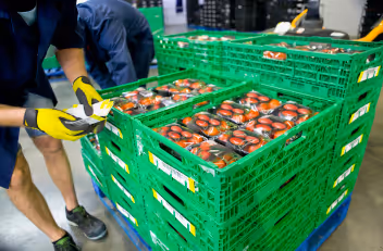 A chef receiving fresh produce in a modern kitchen, representing the connection between local producers and US Foods Direct buyers