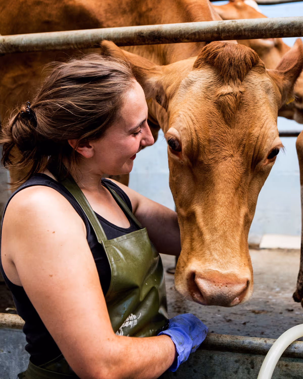 Dairy farmer with milk bottles, cheese, or eggs ready for subscription delivery