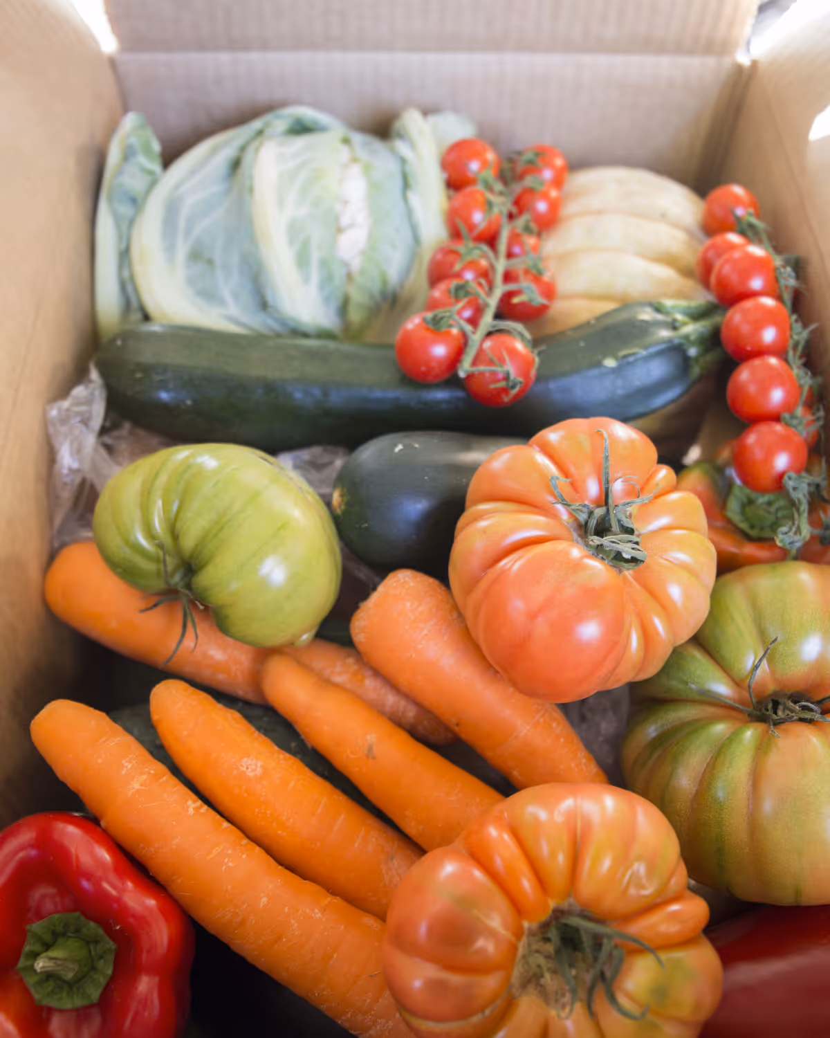 Bundled CSA box, meat bundle, or meal kit being packed for delivery