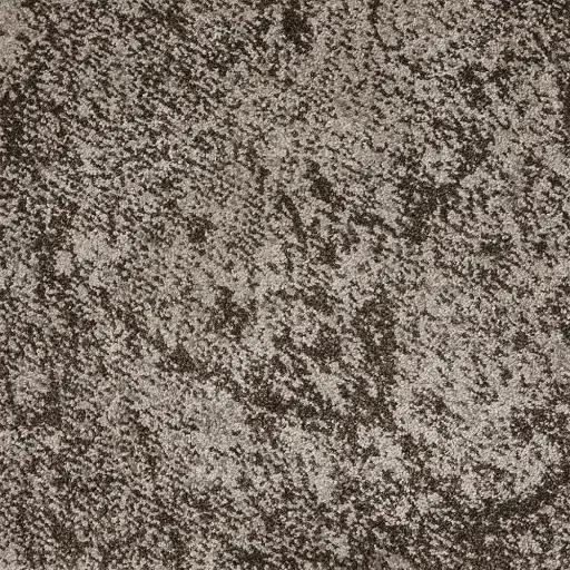 Destination - Perpetual