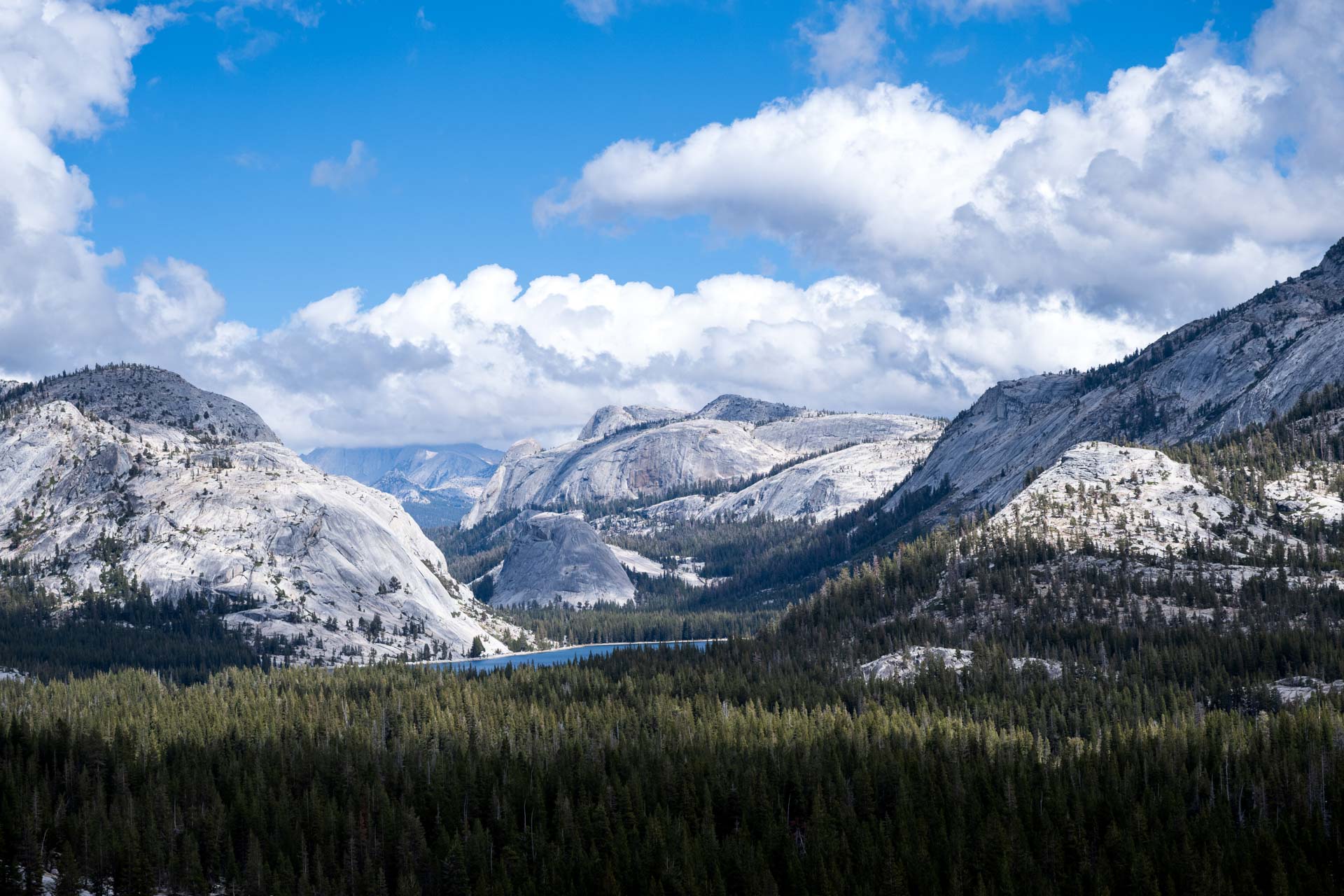 Mountain landscape with pine forest in foreground, granite peaks under partly cloudy blue sky, and a narrow lake between mountains.