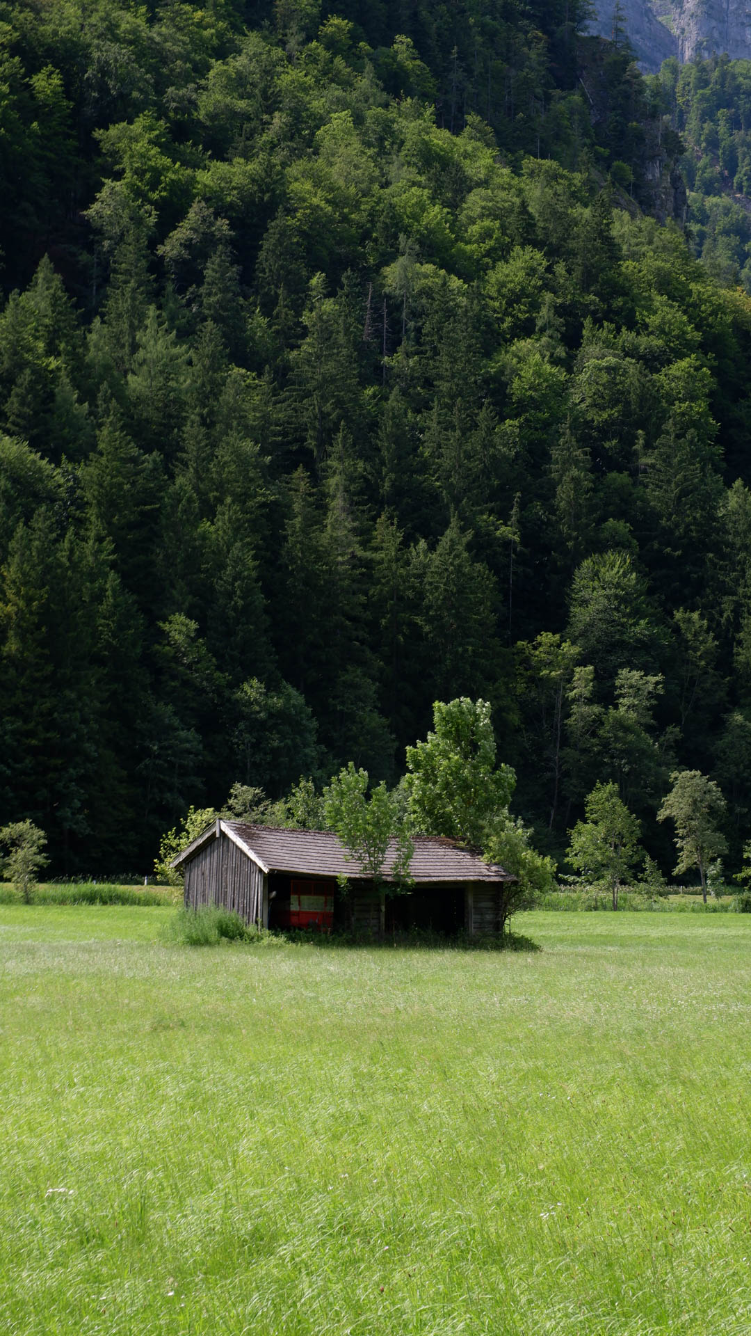 A small brown shed in a grassy field