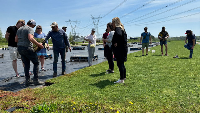 Groupe de personnes qui regarde la production de bacs Hydropacks