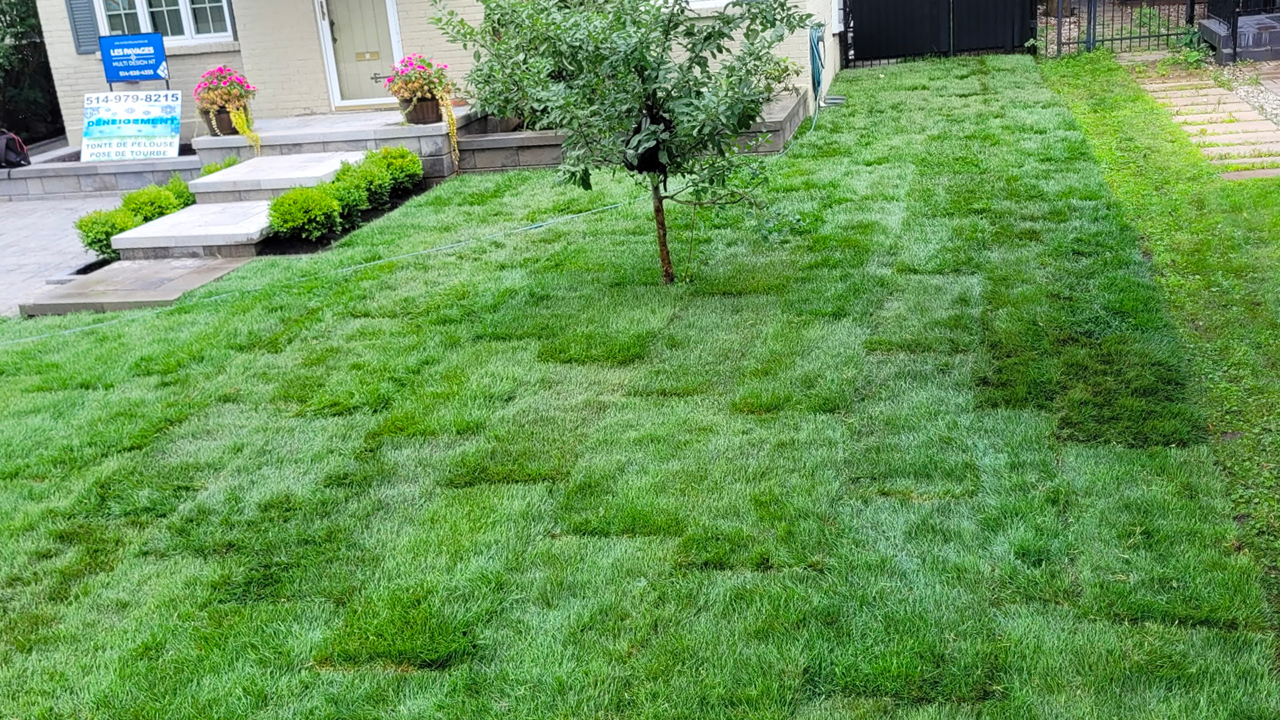 installation gazon en plaques