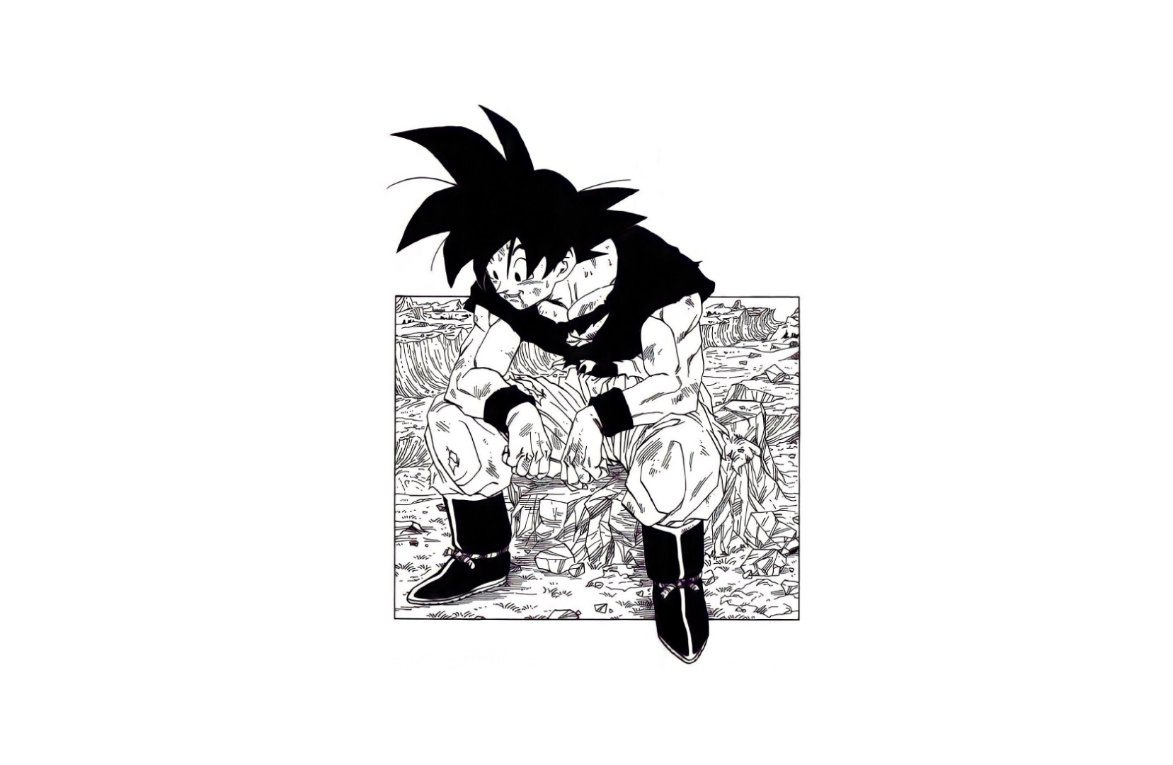 Original Art from Akira Toriyama Goku