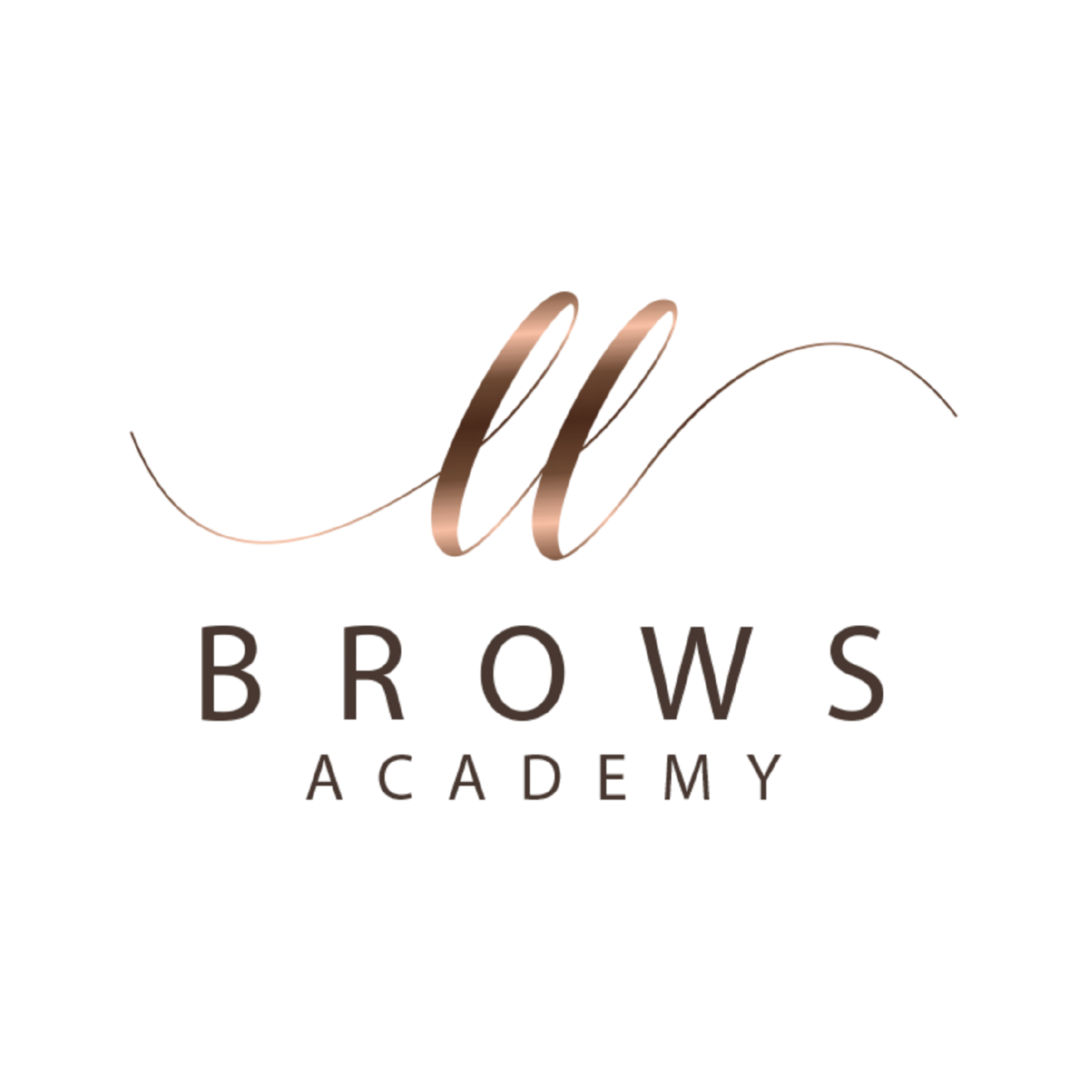 LL Brows Academy logo
