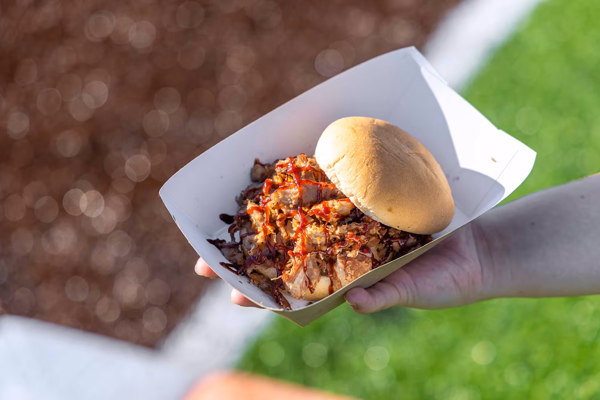 A pulled pork sandwich drizzled with barbecue sauce