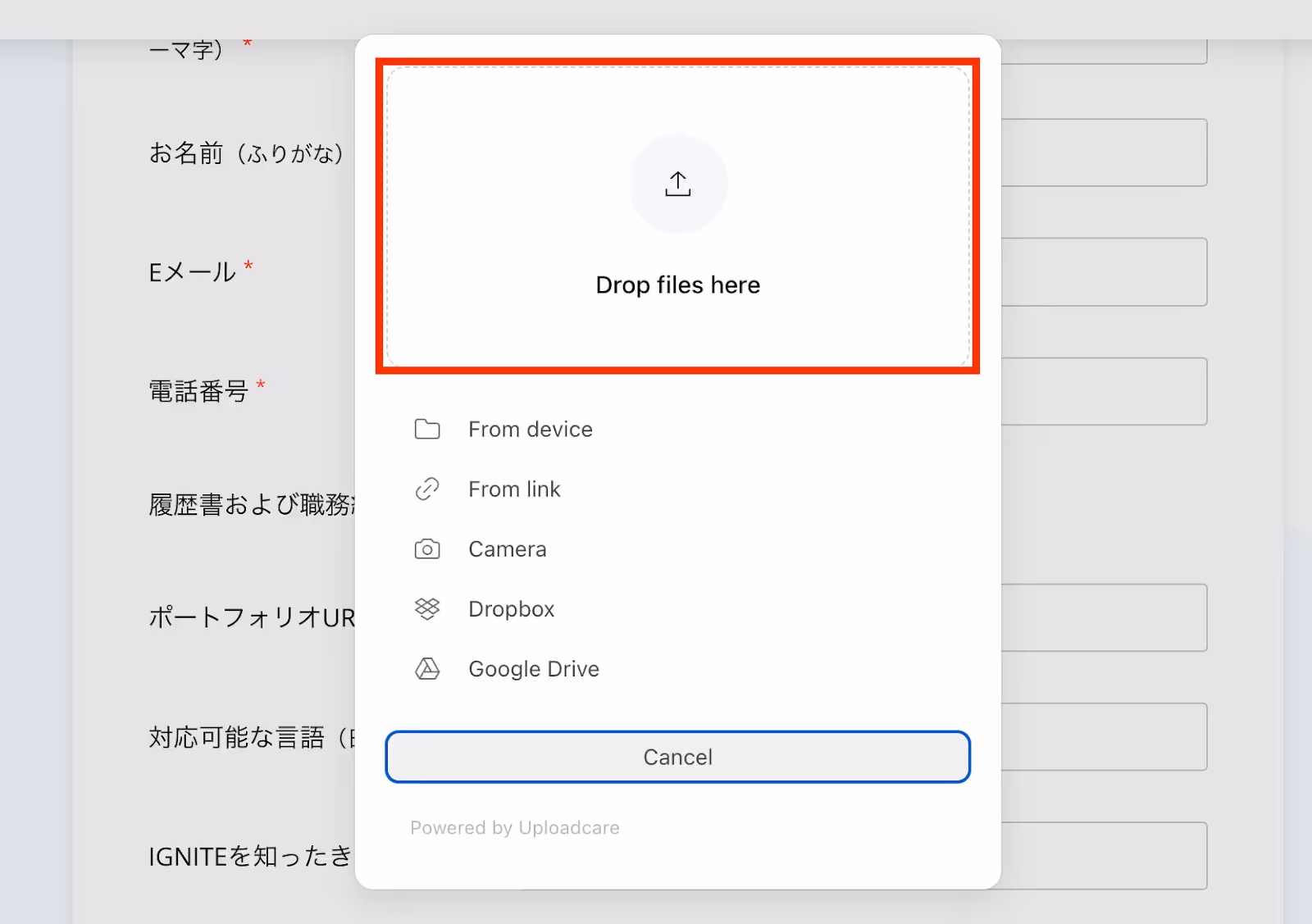 IGNITE応募フォーム　履歴書及び職務歴書drop files here