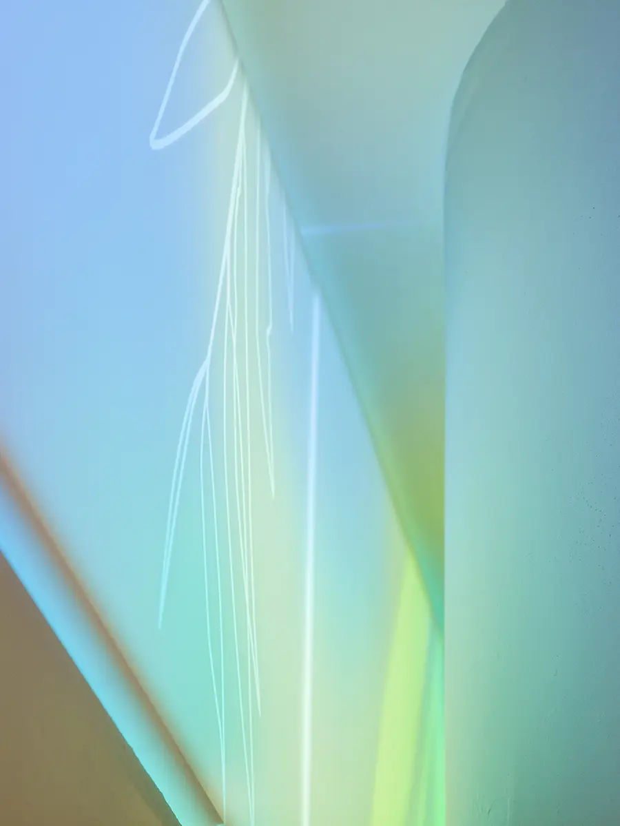 Natural form and light provide gentle, sensory stimulous