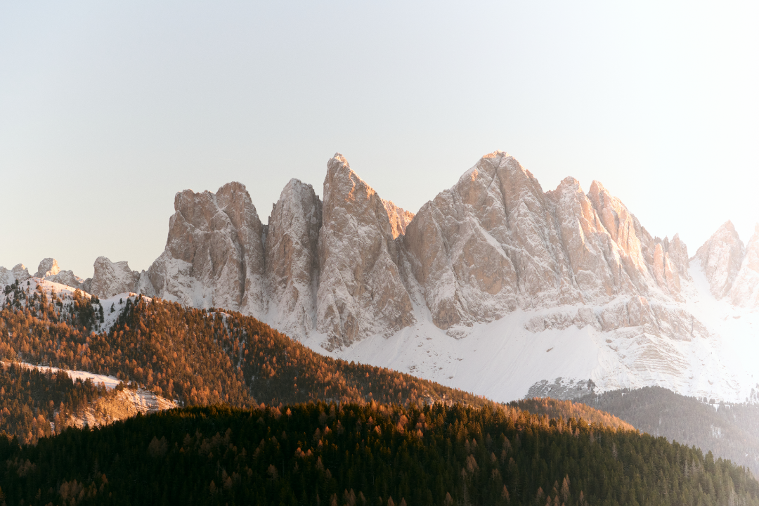 Introducing Longevity by Ellidore