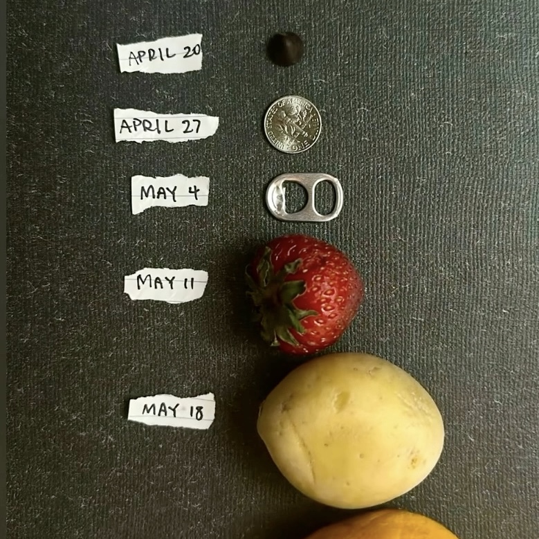 A table with a strawberry, potato, and orange on it.