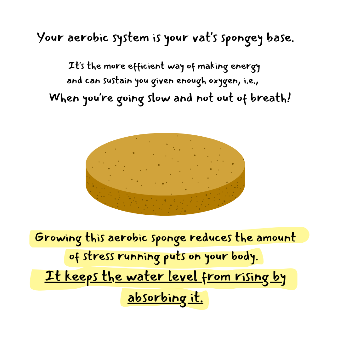 A cartoon of a sponge with the words "your aerobic system is your vat's sponge base" written underneath it.