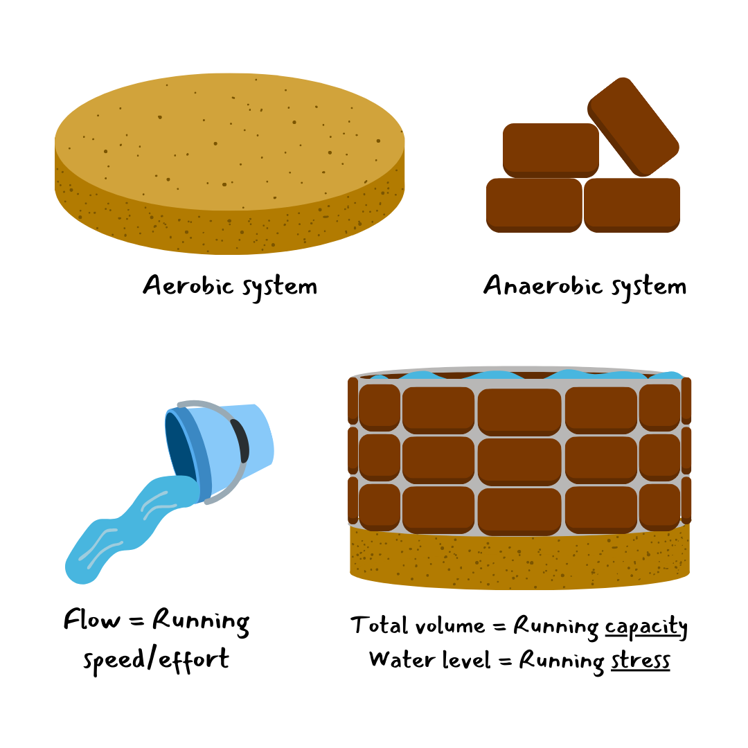 A flow chart of the human body and its systems.