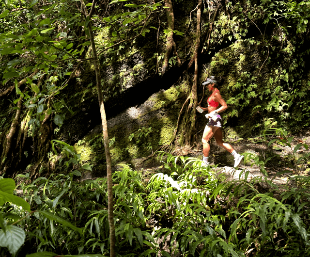 A woman running through a forest with a water bottle.