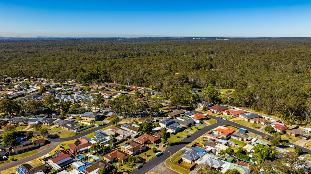 Aerial view of suburban houses bordering a dense forest.