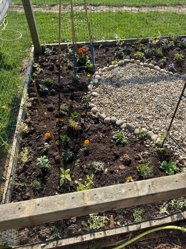 Horticulture Teepee Challenge: Creativity in Full Bloom