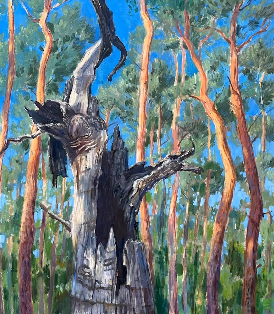 A painting of an old tree in a forest, surrounded by taller trees.