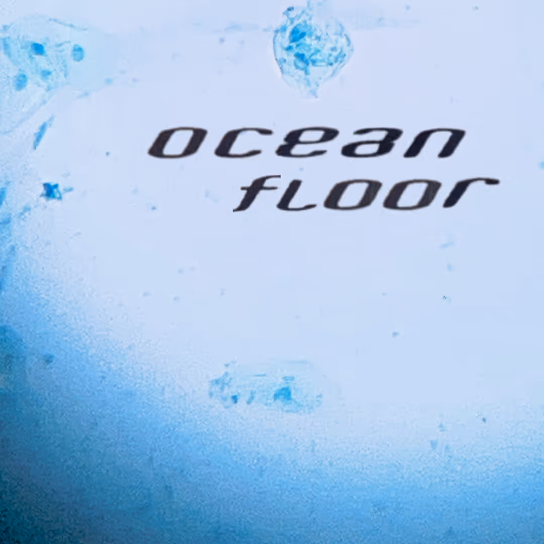 Ocean Floor