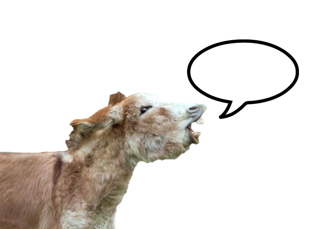 Maximizing Chatbot Efficiency