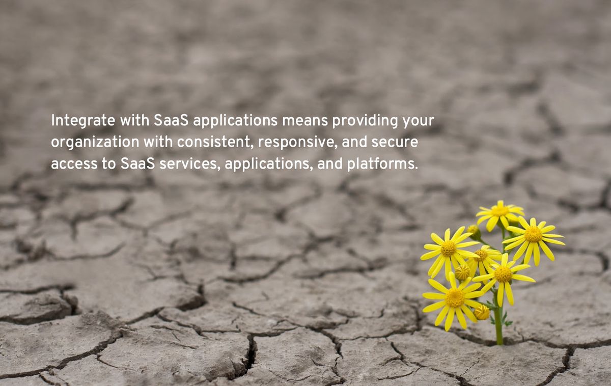 Innovating with SaaS Sales Tools and Technologies