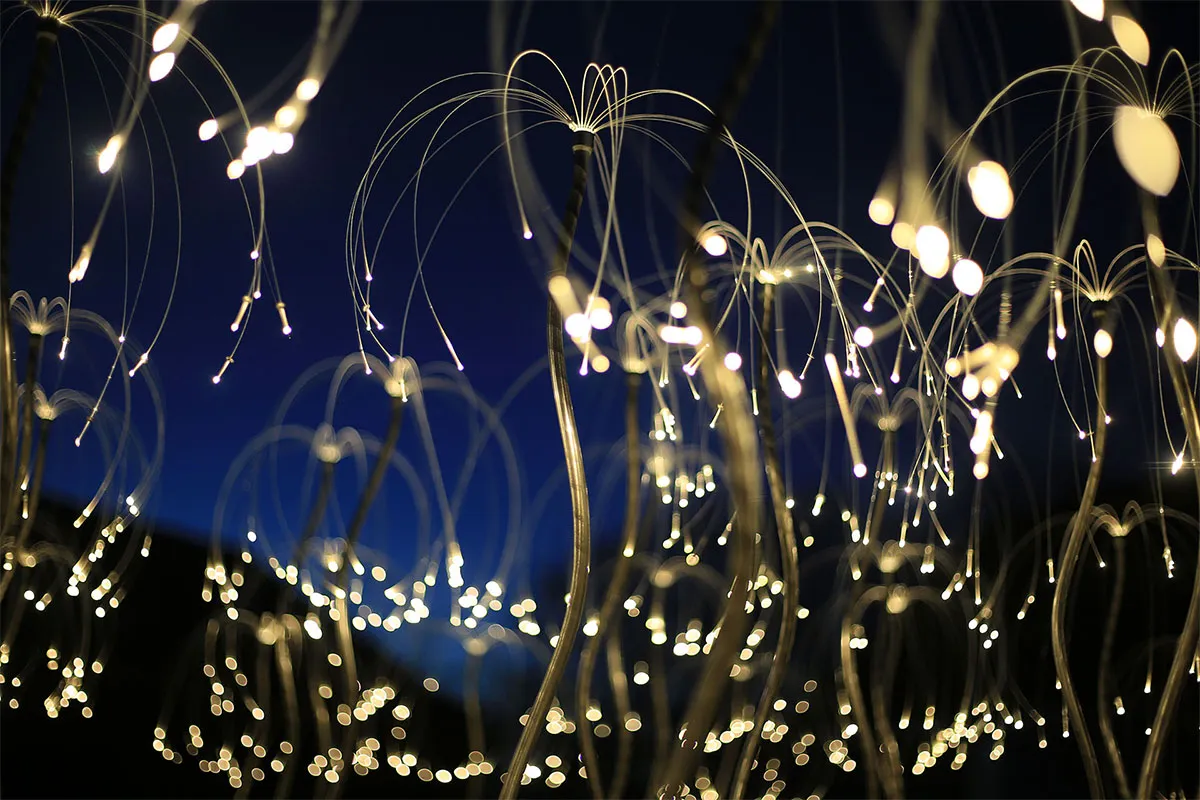 Bruce Munro's Fireflies. Photo Serena Munro.