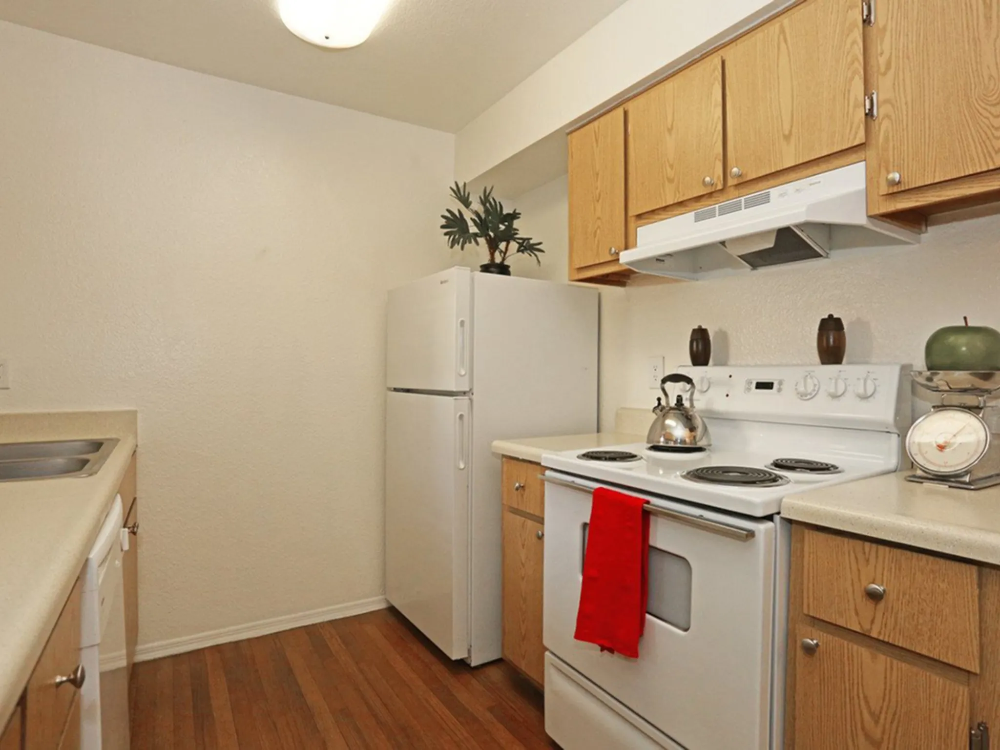 Apartment kitchen — representative home at Morgan Park.