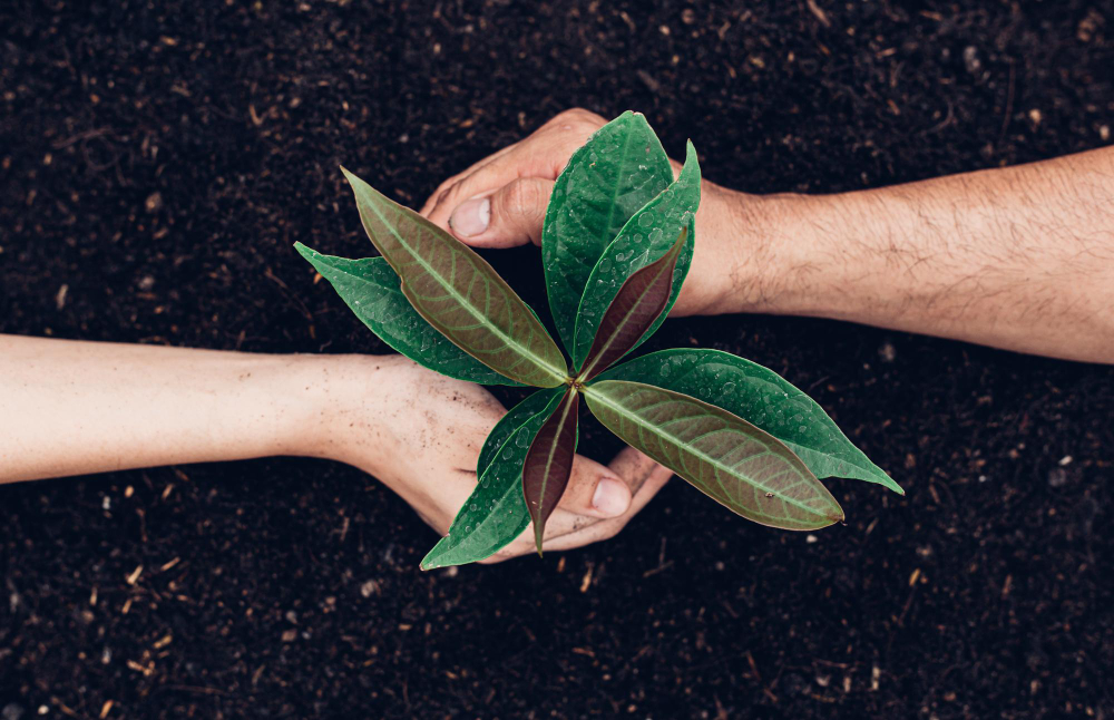 Data-Driven Loyalty Grocery Retail Sustainability