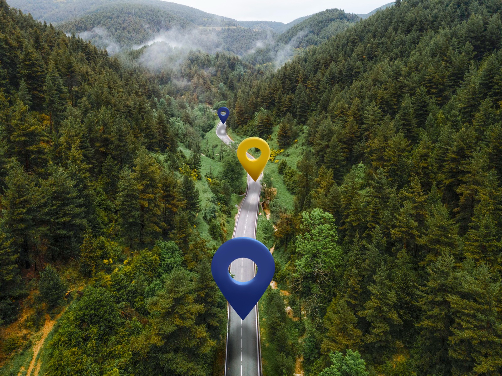 Reducing CO2 Emissions: Going Green in Logistics with Shiperone