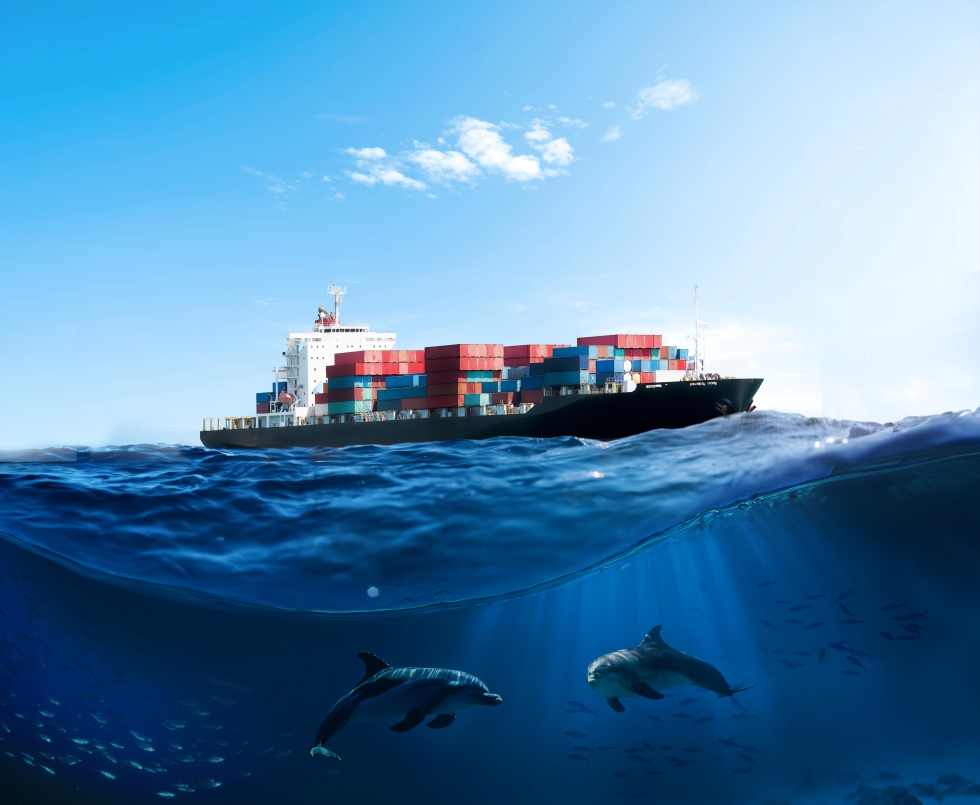 Eco Logistics help marine ecosystems