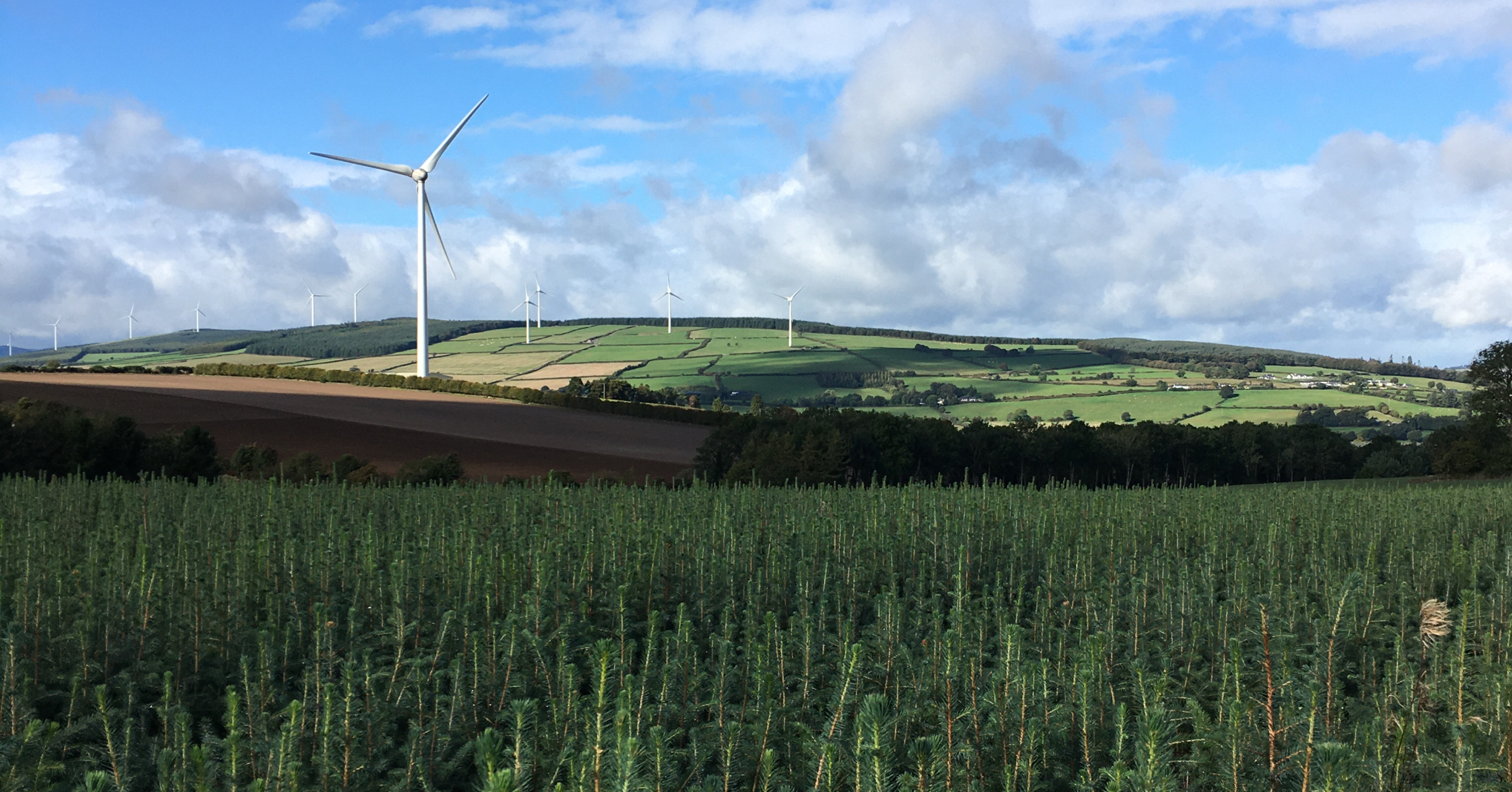 Forestry Industry Has The Potential To Solve Our Twin Housing and Climate Challenges – We Need To Start Building With Timber