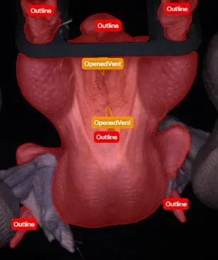 image of process view of a chicken