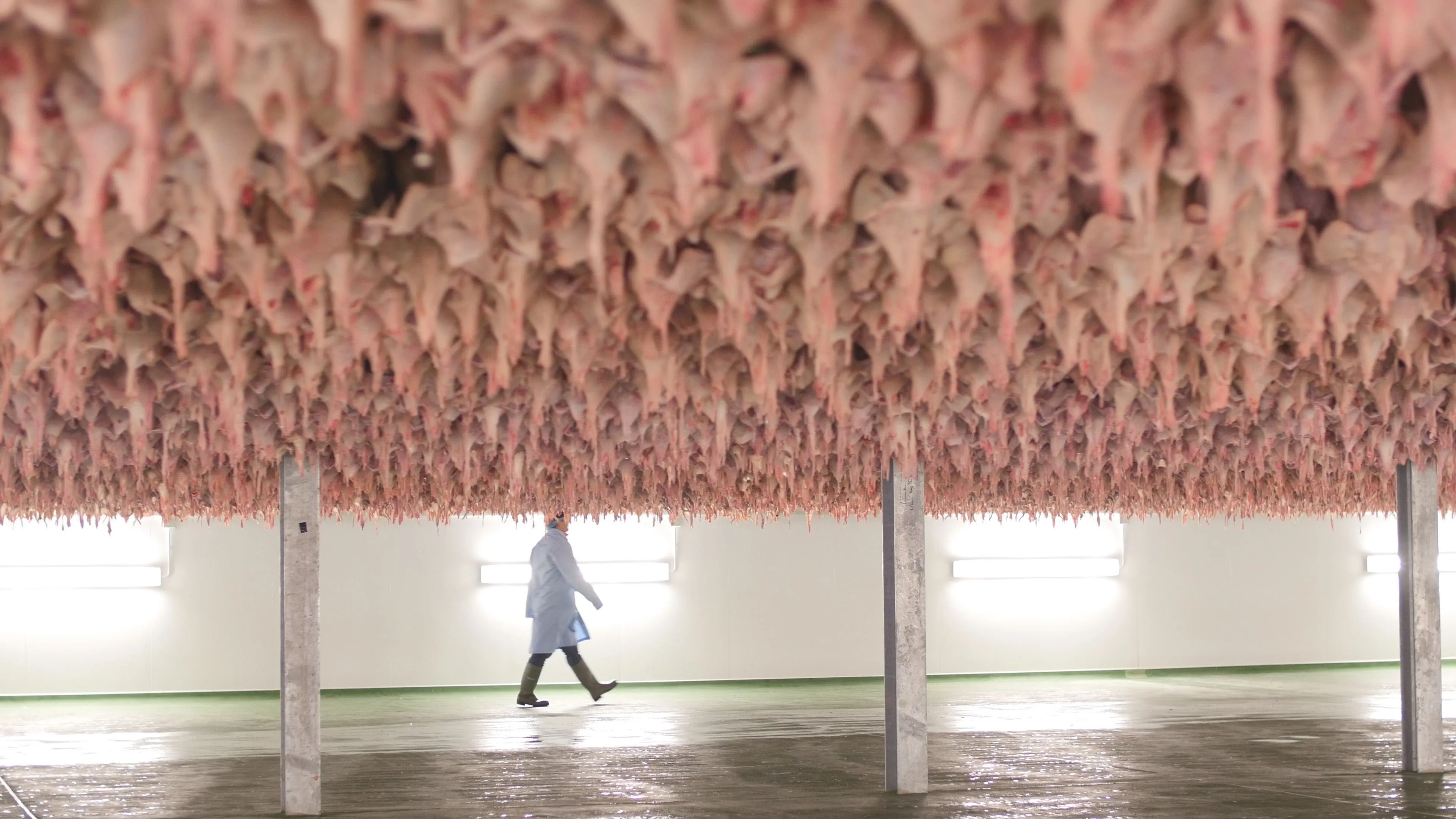 chicken in air chilling process