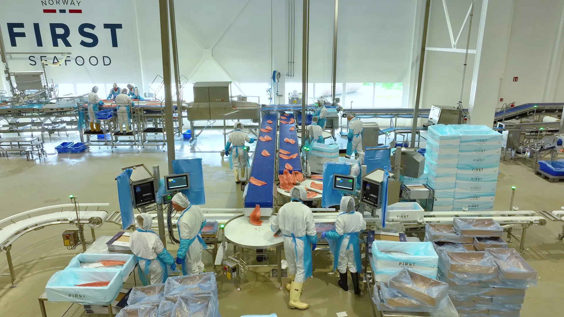 baader salmon factory