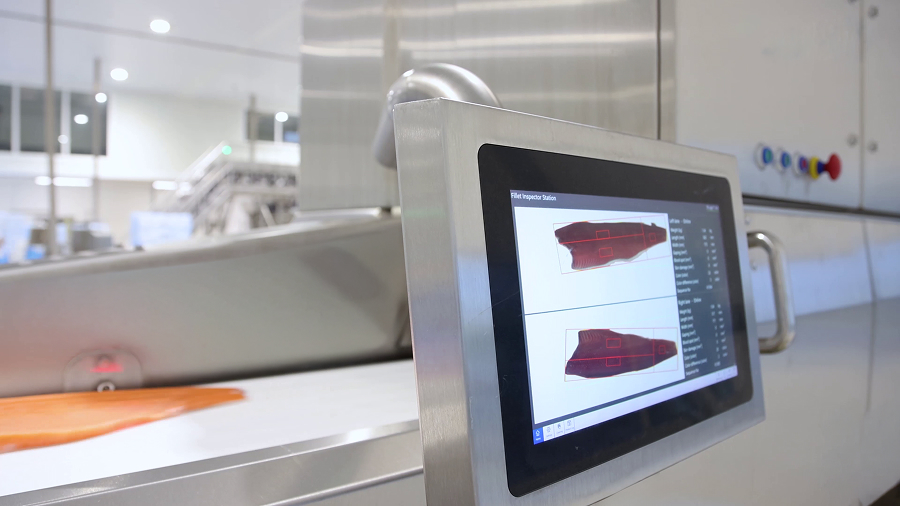 product shot of BAADER 1860 filleting machine