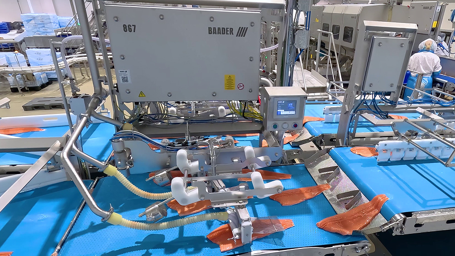 shot of BAADER 867 machine with salmon