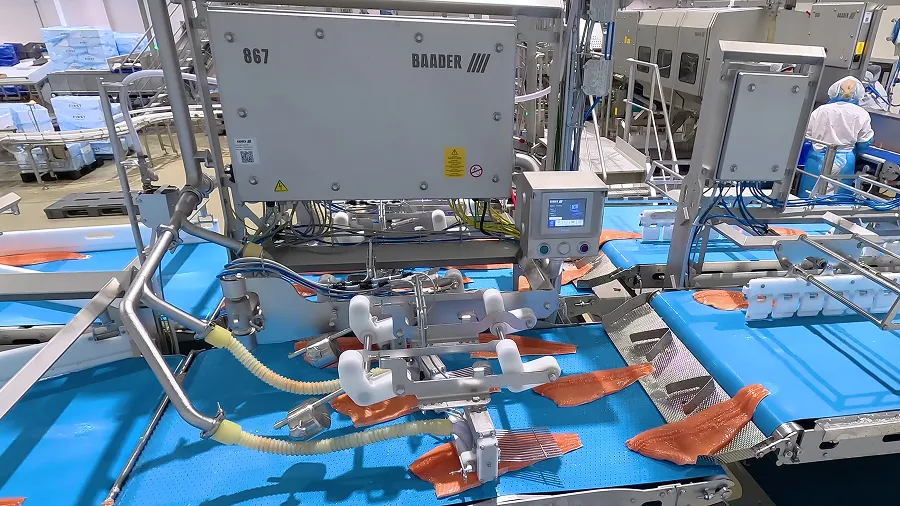 shot of BAADER 867 machine with salmon