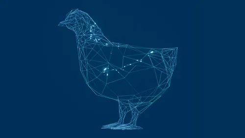 Digital wireframe representation of a chicken composed of connected glowing nodes on a dark blue background.