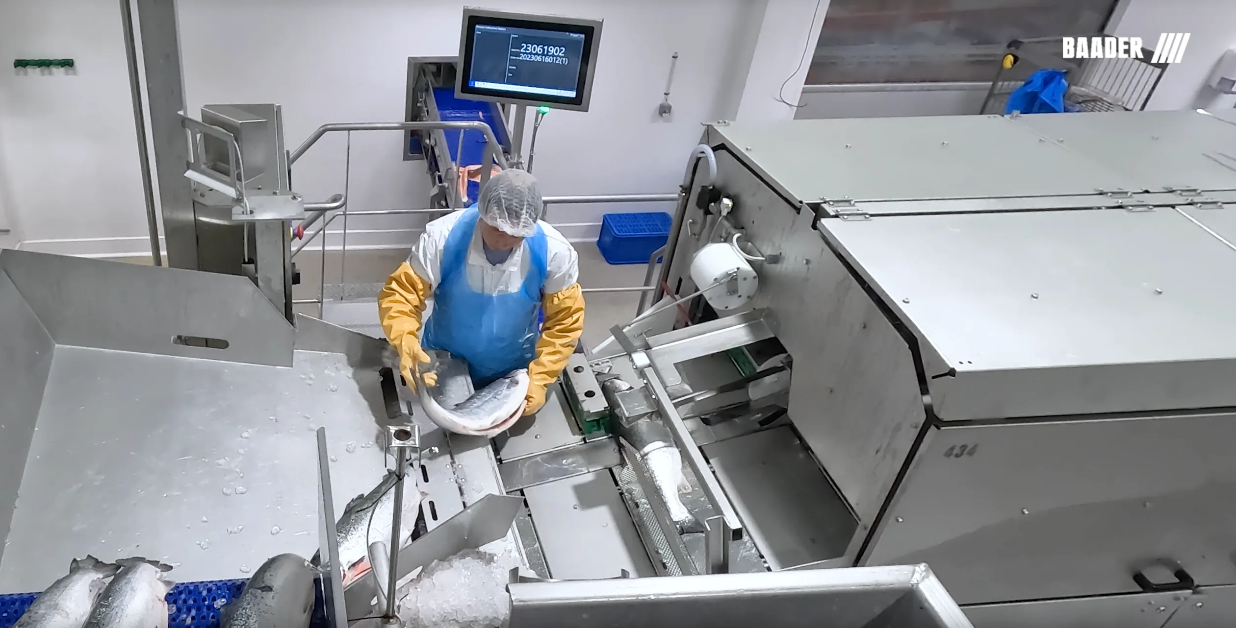 Worker in protective clothing processing fish on a stainless steel industrial machine with a digital screen in a clean facility.