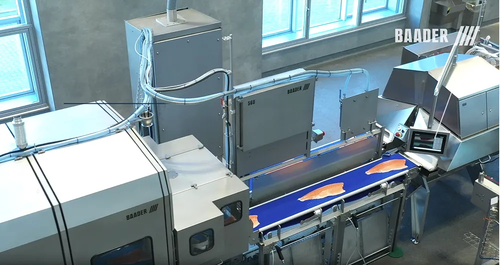 Industrial machinery with conveyor belt processing salmon fillets in a clean factory setting.