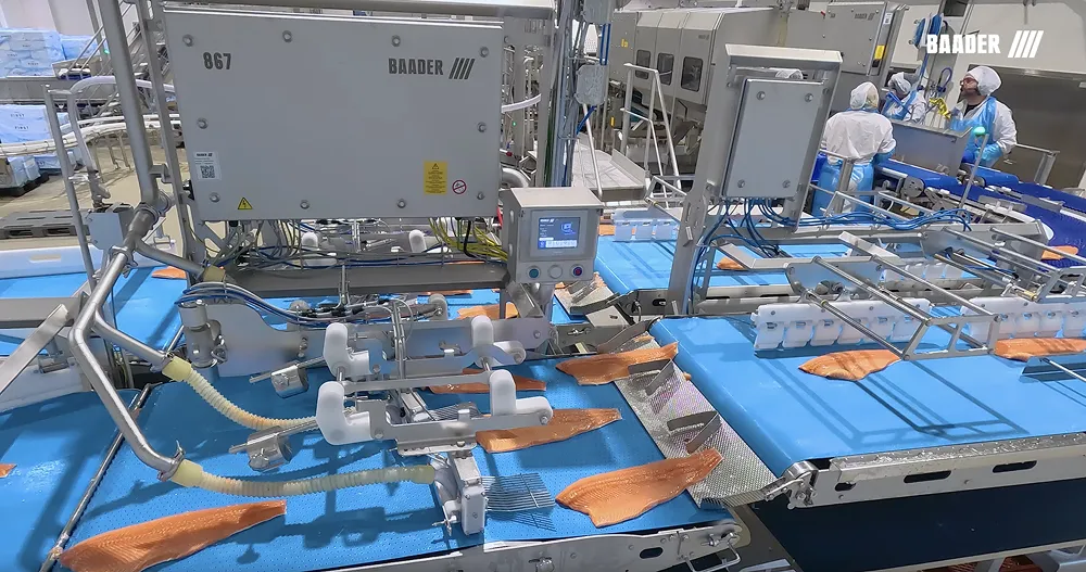 Industrial BAADER 867 fish processing machine sorting and handling salmon fillets on blue conveyor belts in a clean factory environment with operators in protective clothing.