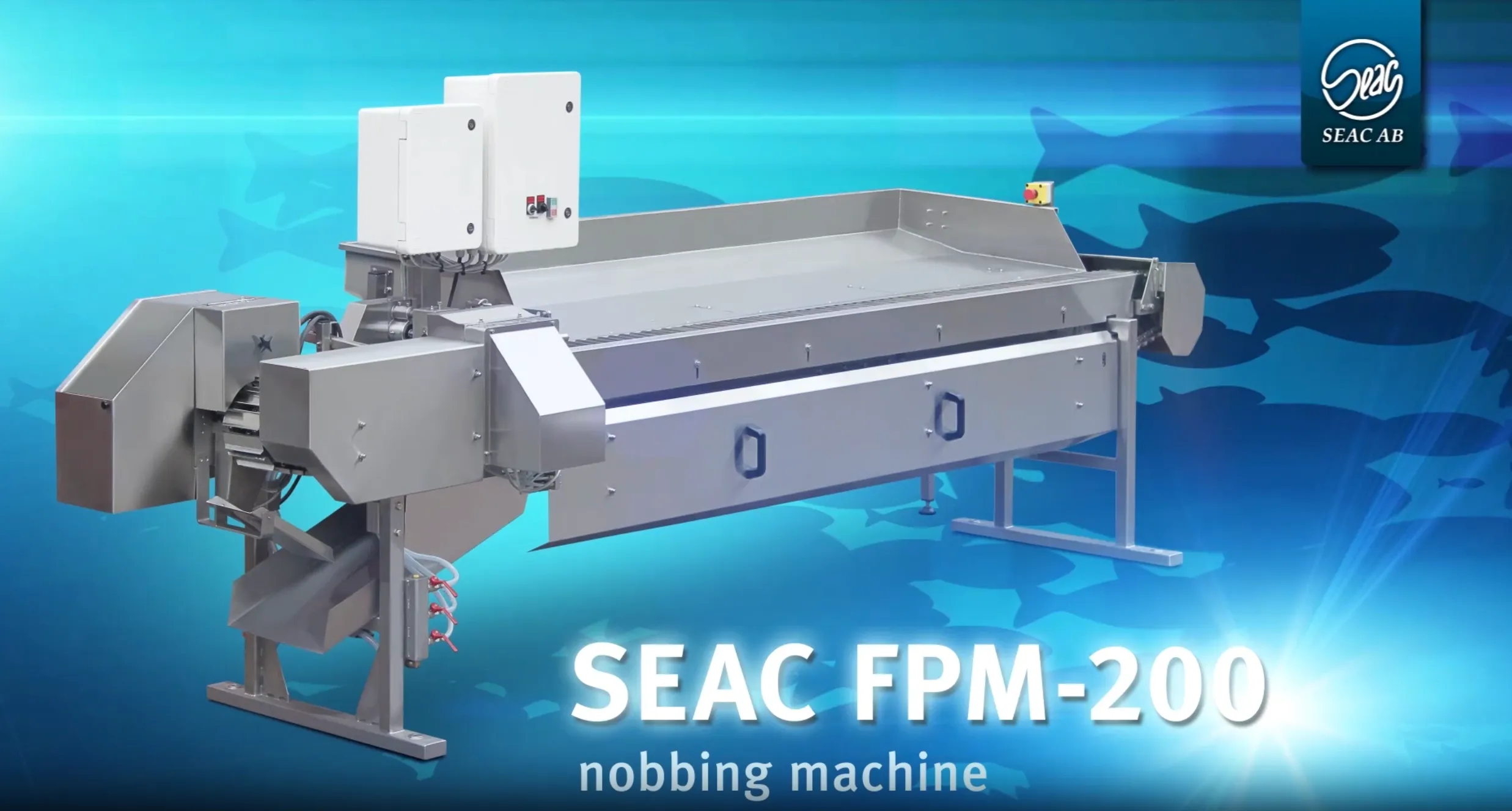 Stainless steel SEAC FPM-200 nobbing machine used in fish processing with a blue background featuring fish silhouettes.